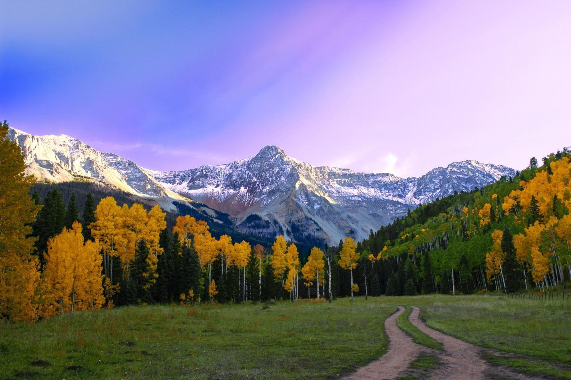 Viking Lodge Telluride Bilik gambar